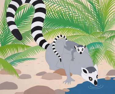 stripes ring tail lemurs